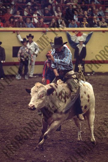 John Gloor Jr. Bull Riding