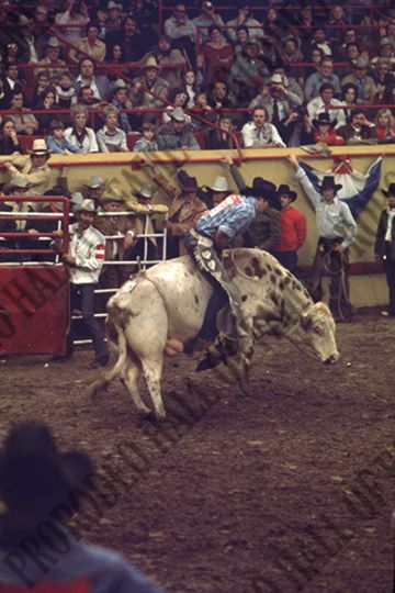 John Gloor Jr. Bull Riding