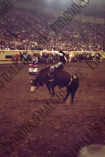 Marvin Shoulders Bull Riding