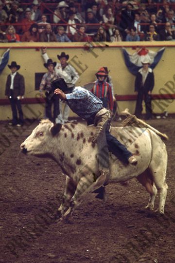 John Gloor Jr. Bull Riding