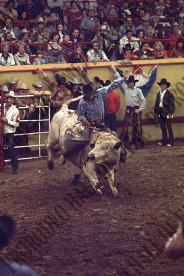 John Gloor Jr. Bull Riding