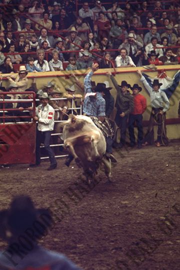 John Gloor Jr. Bull Riding