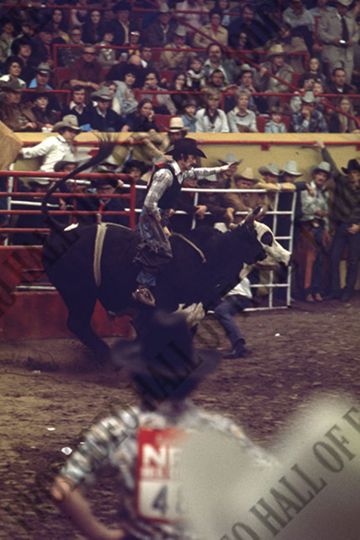 A.J. Swaim Bull Riding
