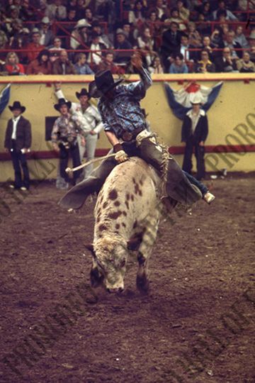 John Gloor Jr. Bull Riding