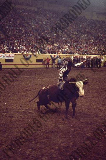 Marvin Shoulders Bull Riding