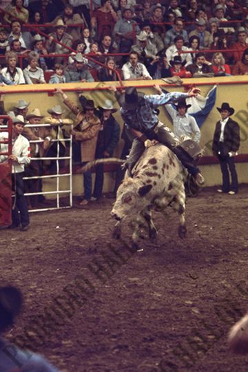 John Gloor Jr. Bull Riding