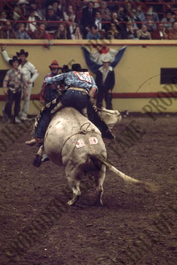 John Gloor Jr. Bull Riding