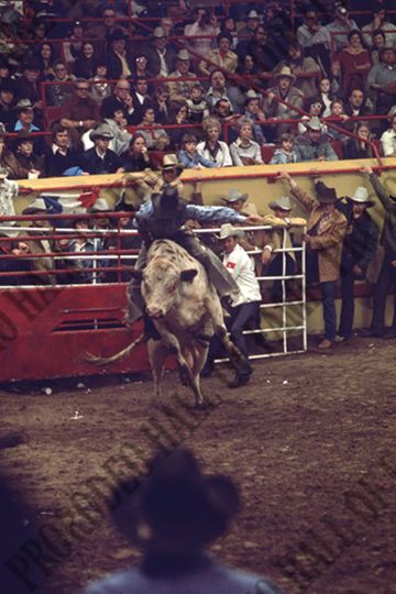 John Gloor Jr. Bull Riding