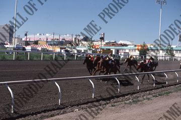 Horse Racing