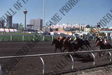 Horse Racing