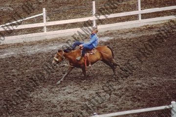 Wild Horse Racing