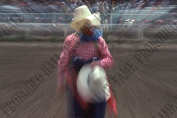 Quail Dobbs
