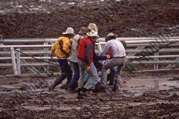 Cowboys and Clown