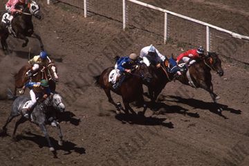 Horse Race
