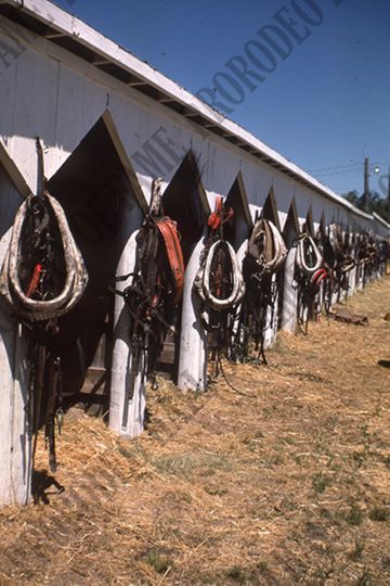 Harnesses