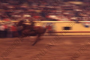 Barrel Racing