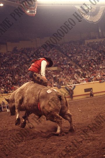Sandy Kirby off Sideshow (Stephens Brothers)