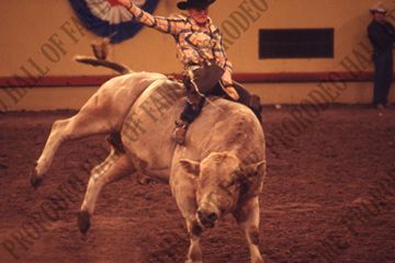 Bull Riding