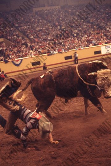 John Davis off #2 (Ivy Rodeo Company)