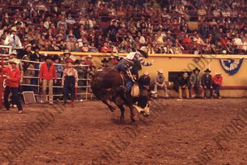 John Davis Bull Riding
