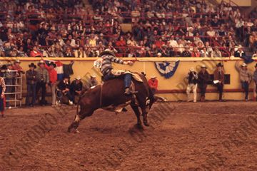 John Davis Bull Riding
