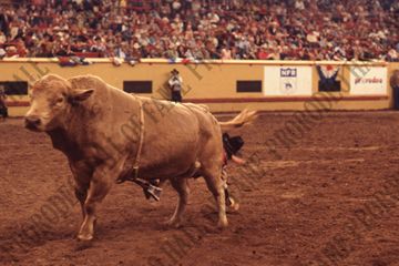 Randy Magers off Joe Cool (Mesquite Rodeo Company)