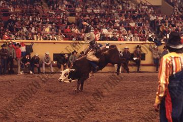 John Davis Bull Riding
