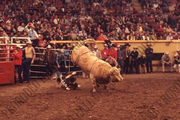 Bob Blandford Bull Riding