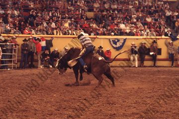 John Davis Bull Riding