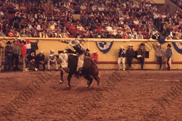 John Davis Bull Riding