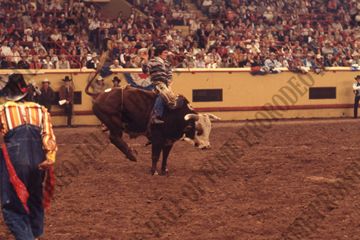 John Davis Bull Riding