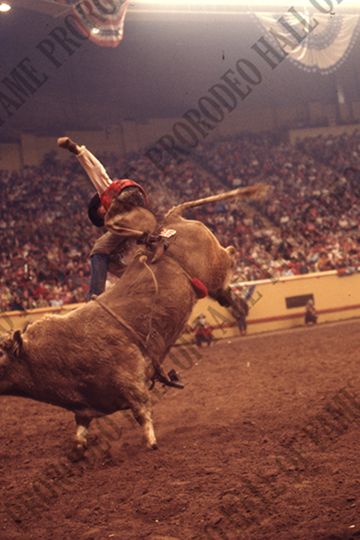 Sandy Kirby off Sideshow (Stephens Brothers)