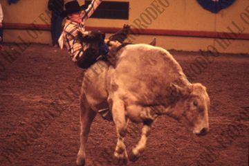 Bull Riding