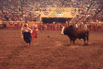 Bob Romer Bull Fighting
