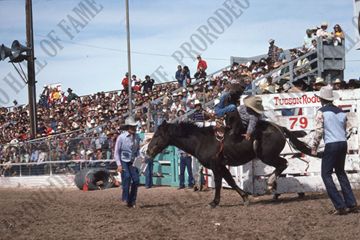 Hank Whitethorne Bareback Riding