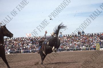 Hank Whitethorne Bareback Riding