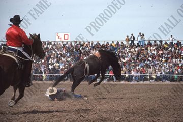 Hank Whitethorne Bareback Riding