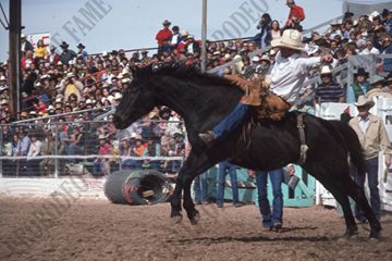 Bareback Riding