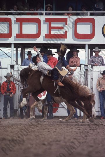 Pat Linger Bareback Riding