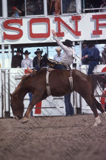Pat Linger Bareback Riding