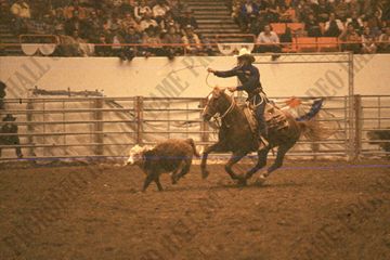 Paul Tierney Tie-Down Roping
