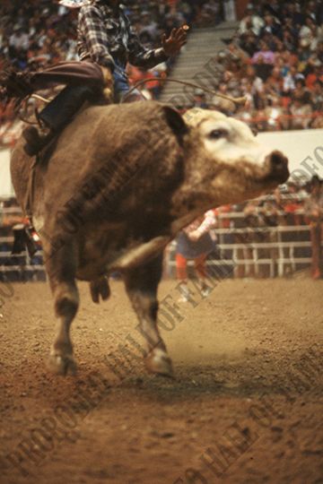 Wacey Cathey on Top Hand (Bob Aber)