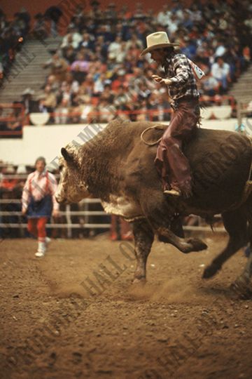 Wacey Cathey on Top Hand (Bob Aber)