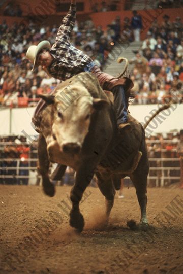 Wacey Cathey on Top Hand (Bob Aber)