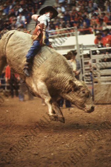 Monty Taylor Bull Riding