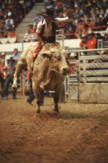 Monty Taylor Bull Riding