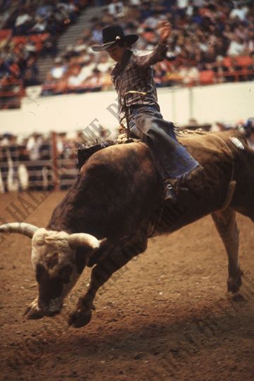 Ricky Bolin Bull Riding