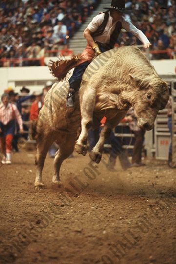 Monty Taylor Bull Riding