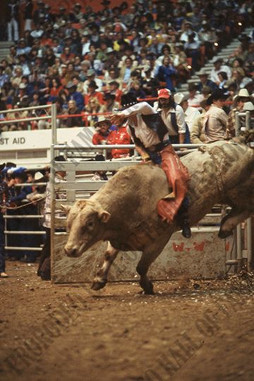 Monty Taylor Bull Riding