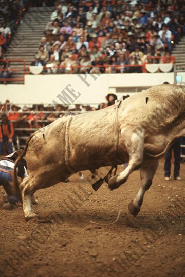 Monty Taylor Bull Riding